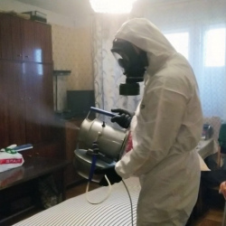 Дезинфекция от клопов в Медвежьегорске