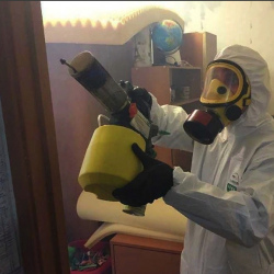 Уничтожение клопов в квартире. Медвежьегорск